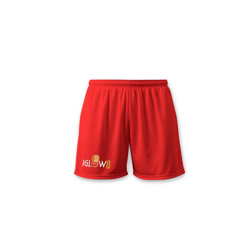 Karate Shorts – Lion Spirit Edition