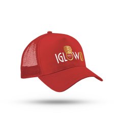 Šiltovka – Lion Spirit (Print Edition)